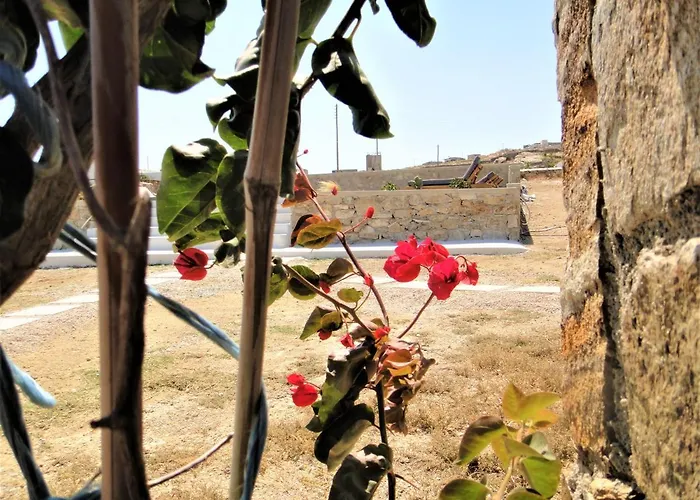 Megusta Mykonos 图罗斯