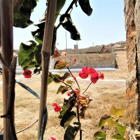 Megusta Mykonos Тоурлос